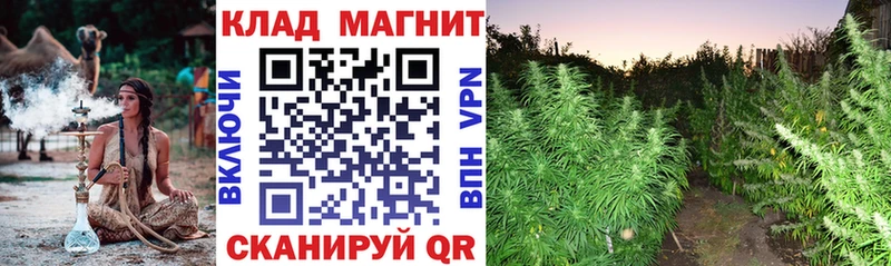 Купить наркотики цена Старая Русса Alpha-PVP  Псилоцибиновые грибы  Кокаин  Бошки Шишки 