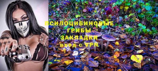 ПСИЛОЦИБИНОВЫЕ ГРИБЫ Нязепетровск
