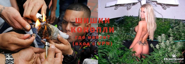 ПСИЛОЦИБИНОВЫЕ ГРИБЫ Нязепетровск