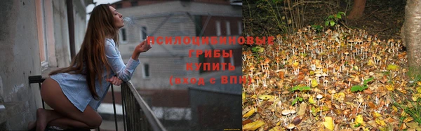 ПСИЛОЦИБИНОВЫЕ ГРИБЫ Нязепетровск