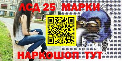 шишки Бузулук