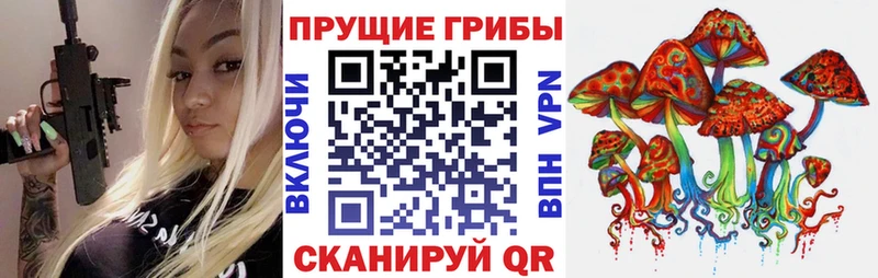Псилоцибиновые грибы Magic Shrooms  Старая Русса 