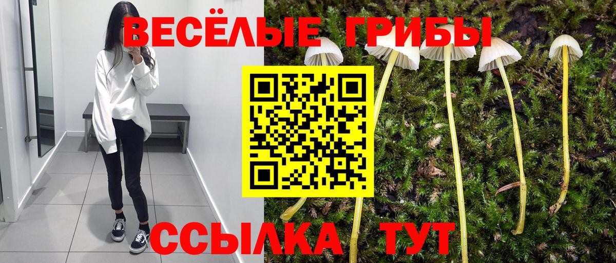 Галлюциногенные грибы мухоморы Старая Русса