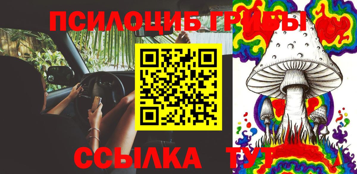 наркотики  Галлюциногенные грибы ЛСД  Старая Русса  Галлюциногенные грибы ЛСД 