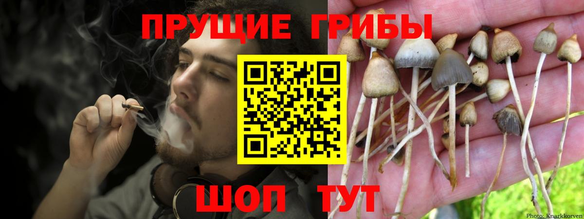 Галлюциногенные грибы мицелий Старая Русса